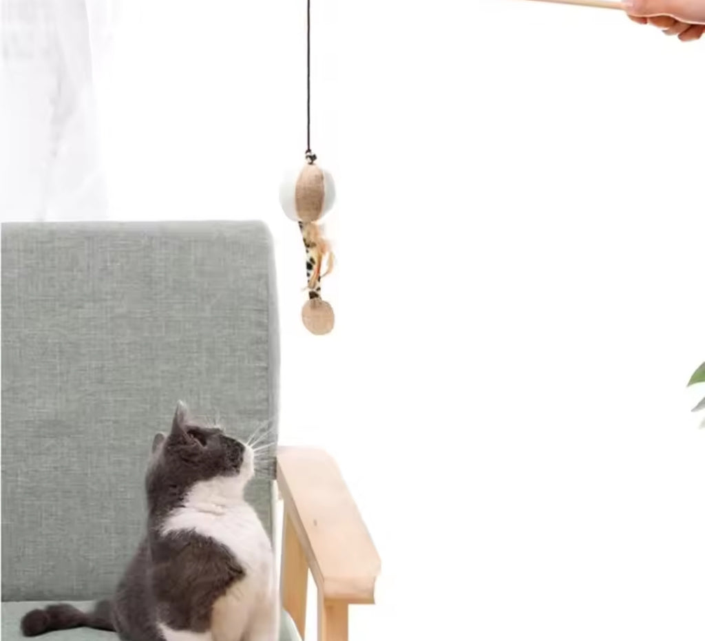 Cat Toy