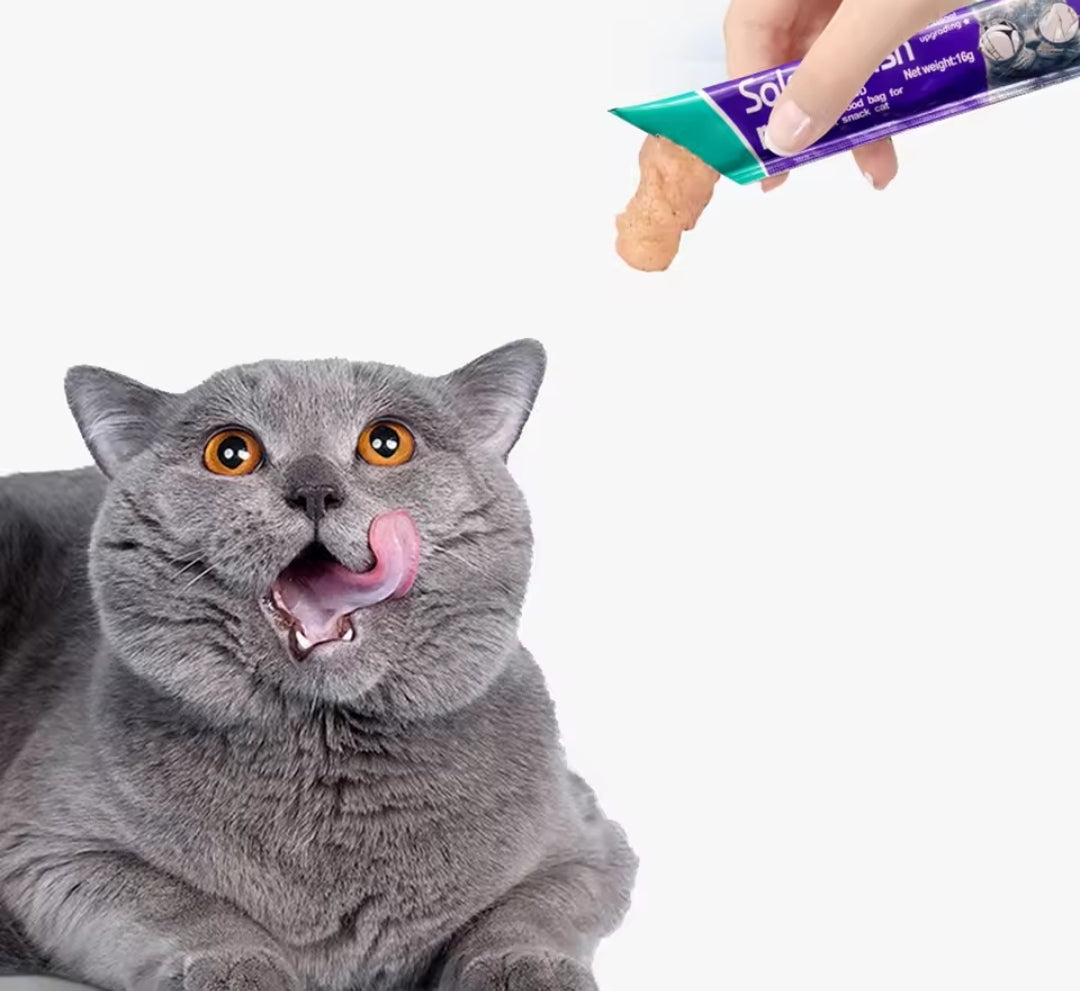Cat Wet Food