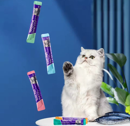 Cat Wet Food