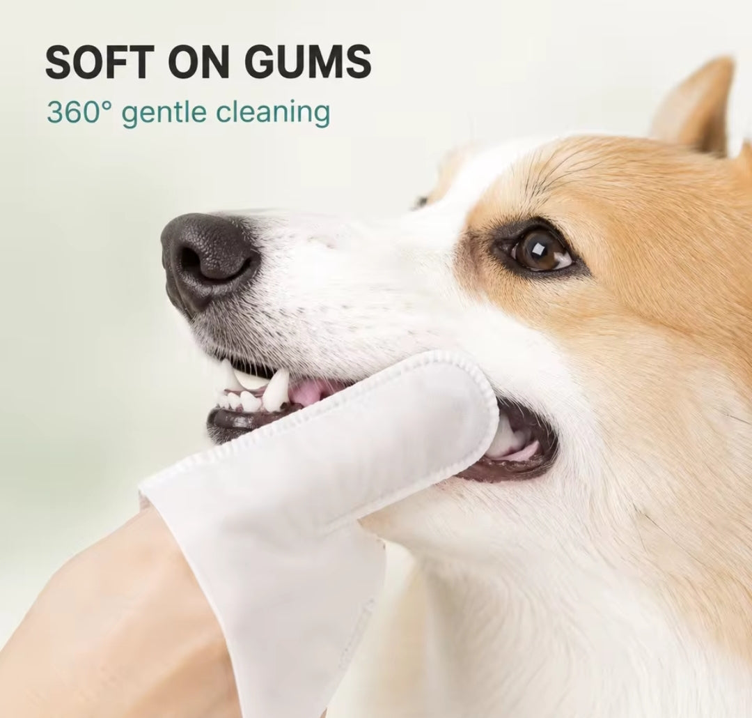 Cat/Dog Finger Wipes